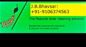 thepeacocksolarpenalcleaningsolution
